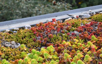 the cost of Lochty green roof installation