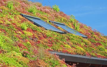 Lochty living roof systems
